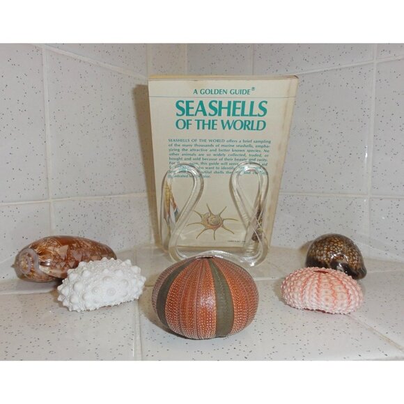 Vintage Seashells of the World Book 1962 A Golden Guide clear Lucite book stand - Picture 3 of 16